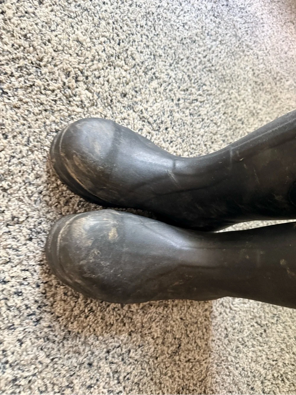 Muck Boot Company Men’s Chore ST Waterproof Black Work Boots